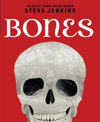 bones skeletons and how they work