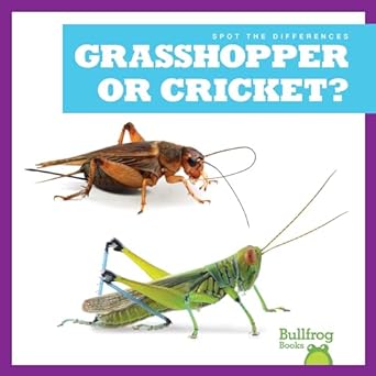 grasshopper or cricket