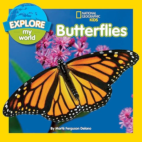 explore my world butterflies