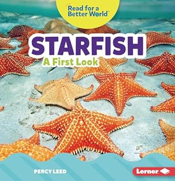 starfish a first look