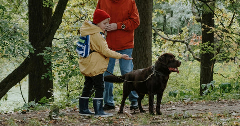 dog and little boy