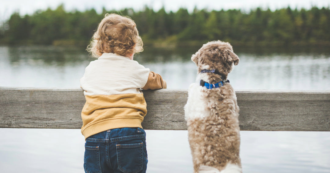 boy and dog