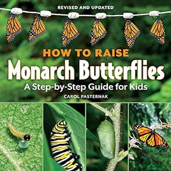 how to raise monarch butterflies a step-by-step guide for kids