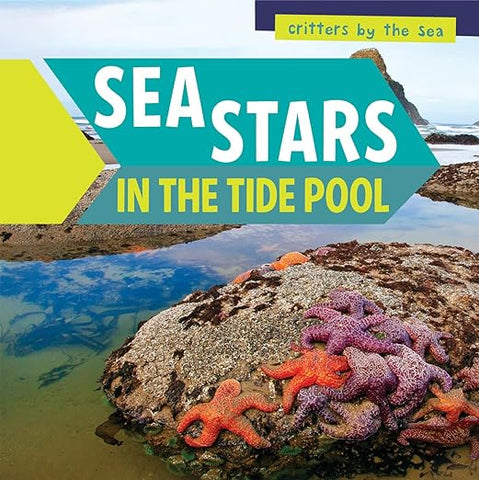 Sea Stars in the Tide Pool