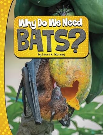 Why Do We Need Bats?