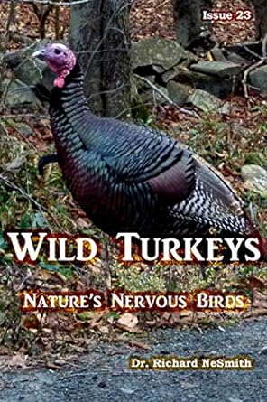 Wild Turkeys: Nature's Nervous Birds!