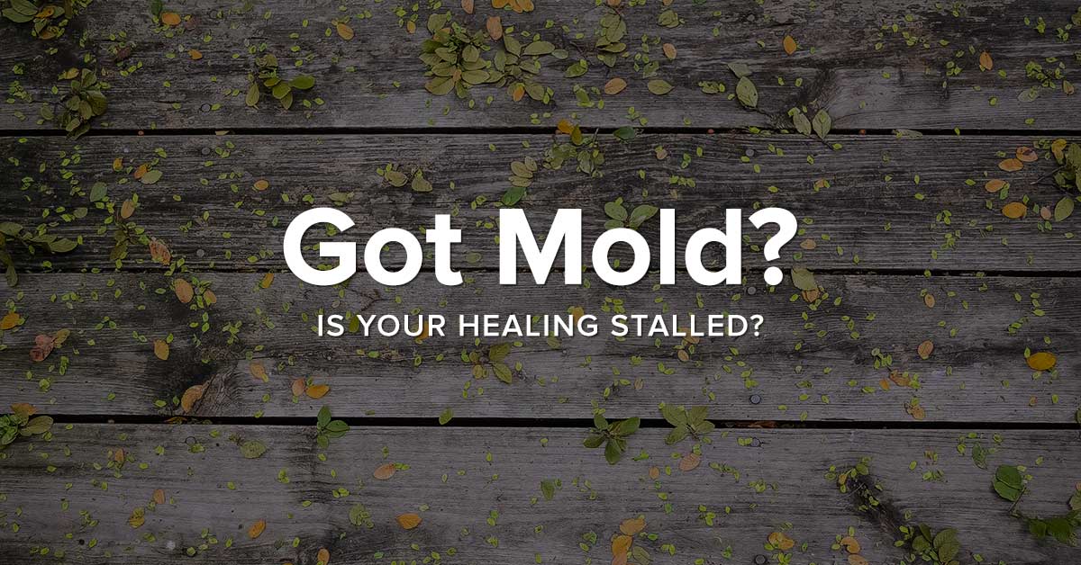 Mold affects healing