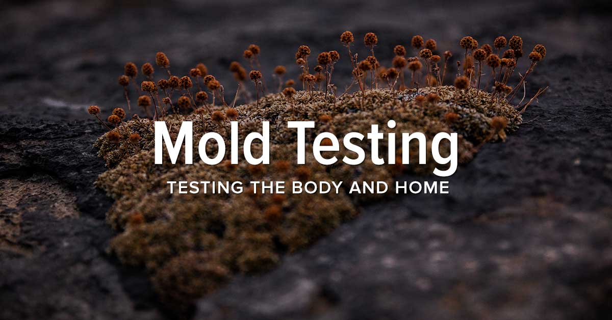 Mold testing