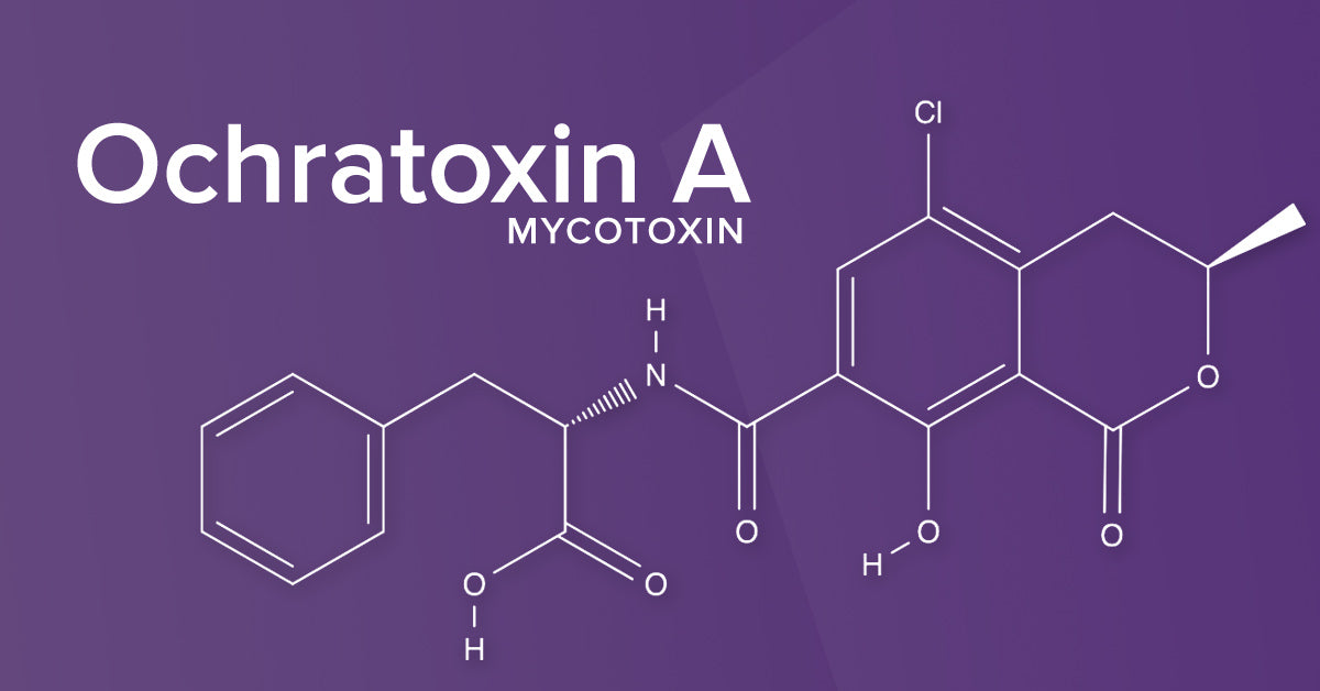 Ochratoxin A