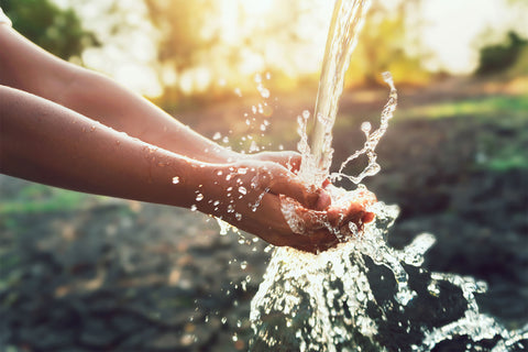 Hands and arms being washed in large stream of water from faucet