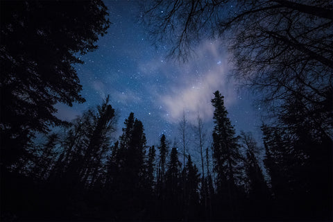 night time view of dark sky and stars in a forested area