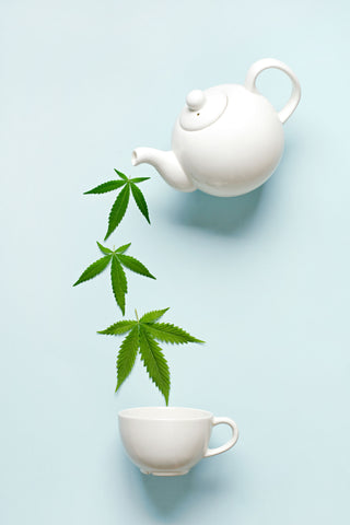 Tea pot pouring marijuana leaves into a tea cup