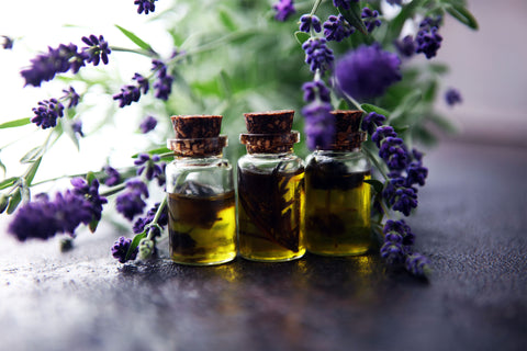 Glass vials of lavender oil with lavender flowers 