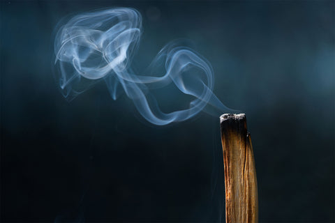 burning incense with wisp of smoke prominently featured