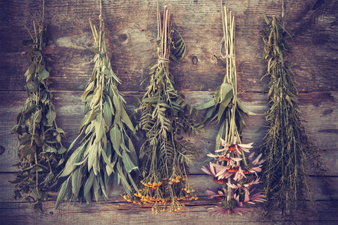 dried herbs upside down again wood backdrop