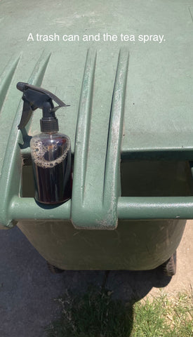 A spray bottle filled with black tea, sitting atop a trash can with a green lid.