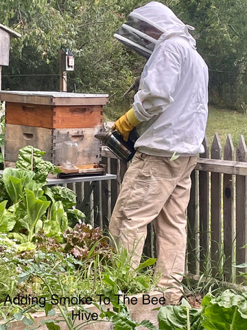 Adding smoke to the bee hive