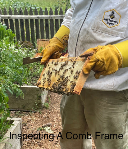 Inspecting a comb frame