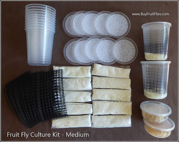 Fly Culture Dry Feeding Media – The Fruit Fly Shop
