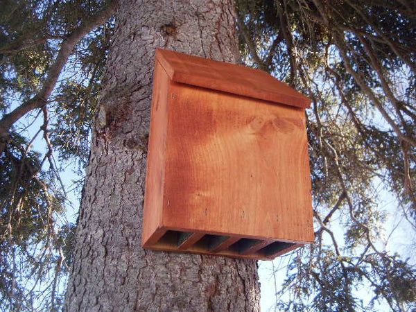 The Great Alaskan Bat House Plans – My Alaskan Creations