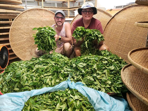 Jason & Timmy At Mississippi Tea Farm