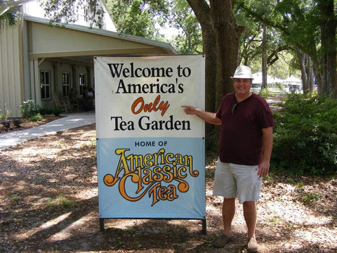 Charleston Tea Plantation 