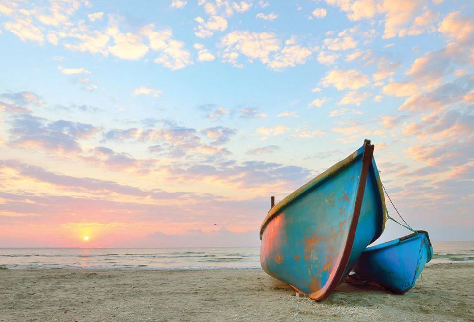 Washed up beach wall art