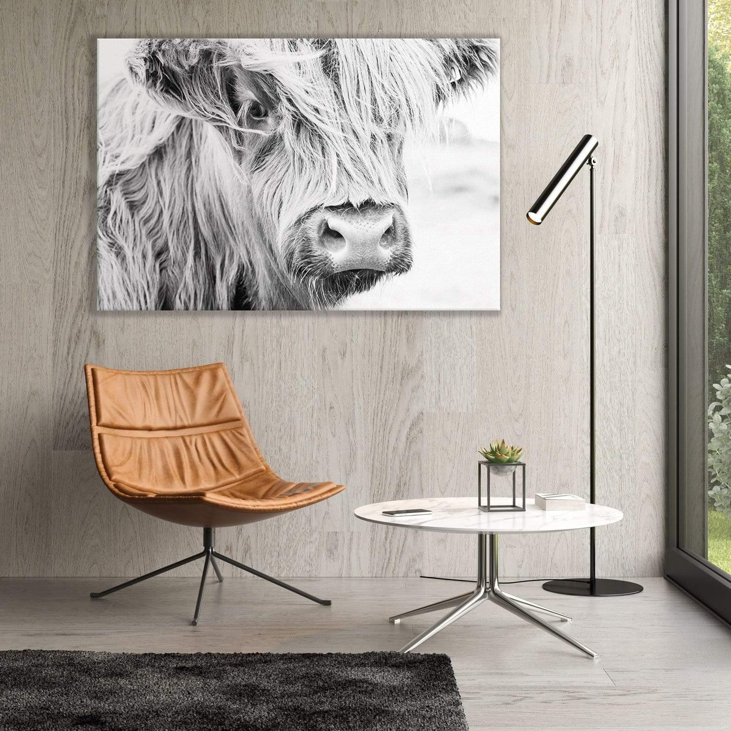 Highland cow black and white