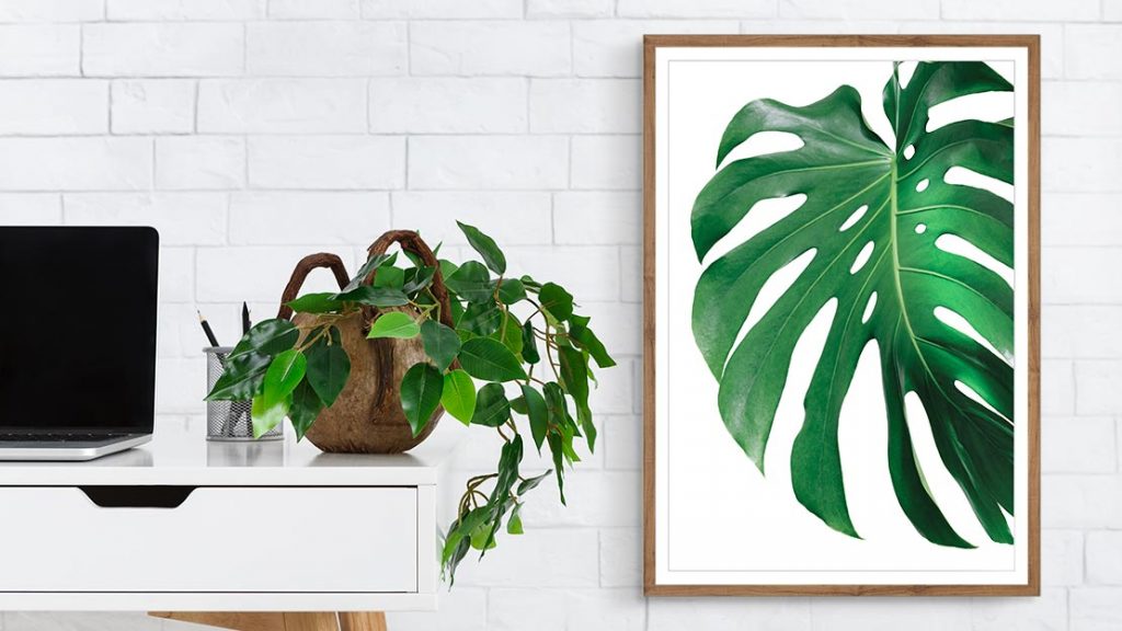 Fern wall art in office setting