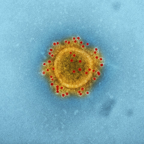 microscopic chest virus