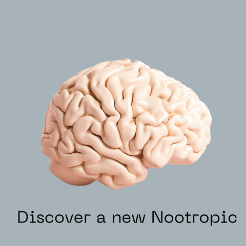 brain with words saying "discover a new nootropic" under the brain image