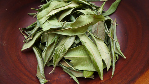 dried lemon myrtle leaves