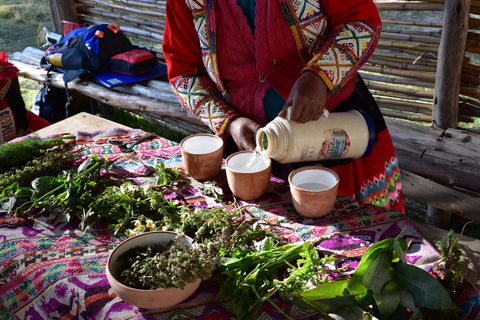 Andean Quechua woman with medicinal herbs and muna tea