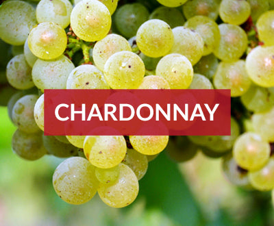 chardonnay