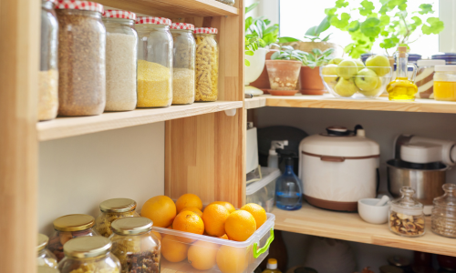 Best-pantry-moth-traps