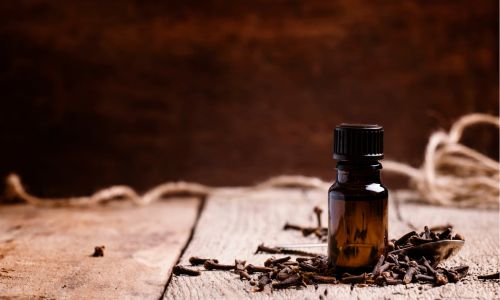 Use clove essential oil for bug control