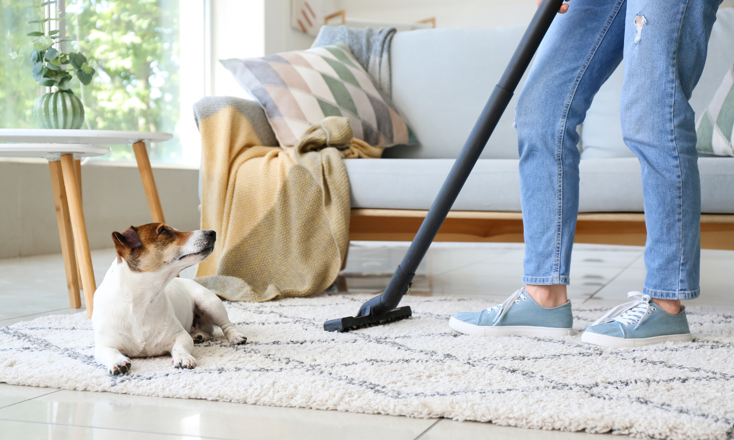 Is-pest-control-safe-for-pets