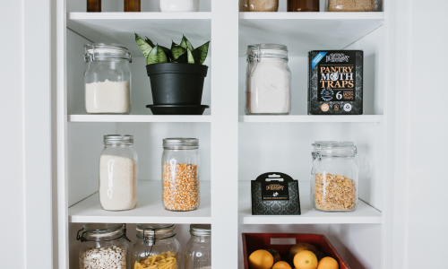 Pantry-moth-traps