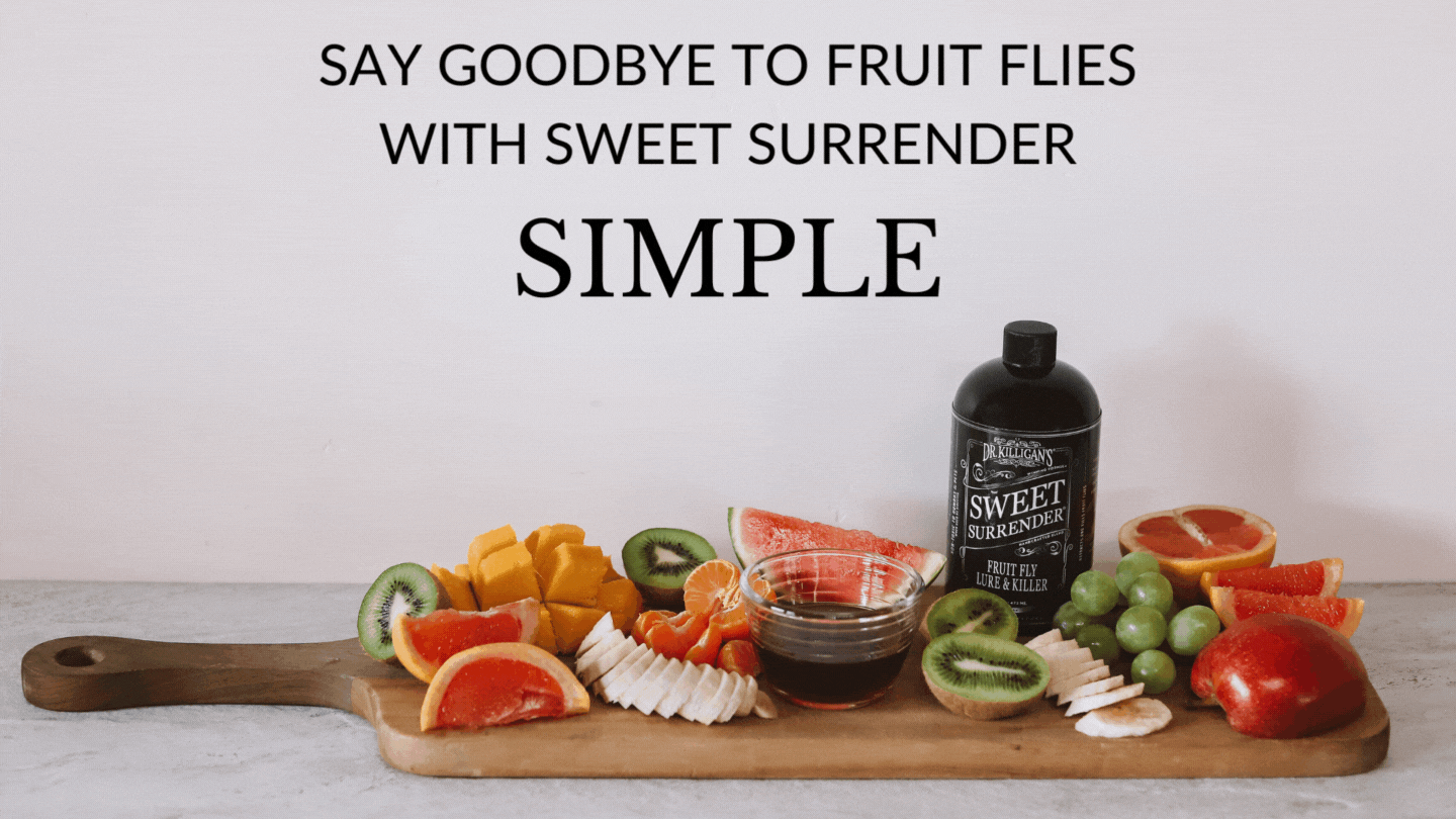 Dr. Killigan's Sweet Surrender Fruit Fly Lure | Attractant and Bait for  Flies in Home & Kitchen Natural Remedy Indoors Outdoors Safe Liquid Trap
