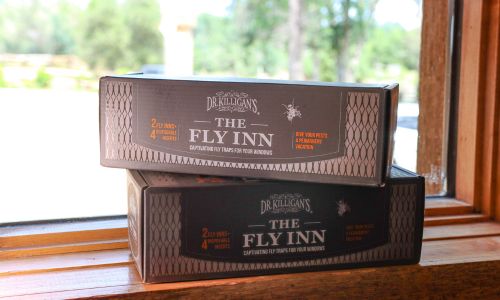 The-Fly-Inn-attracts-house-flies