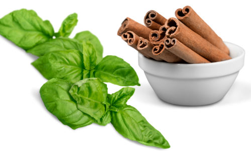 basil-and-cinnamon