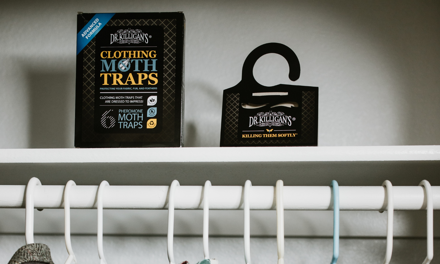 best-clothes-moth-traps