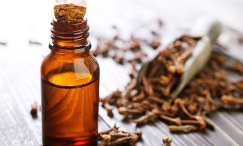 clove-oil-safe-for-dogs