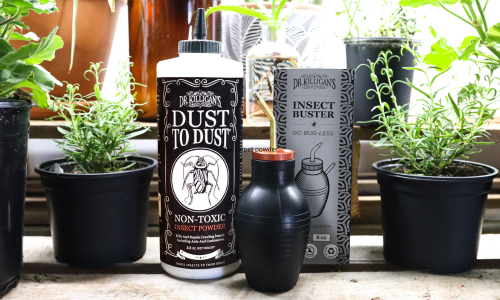 dust-to-dust-insect-powder