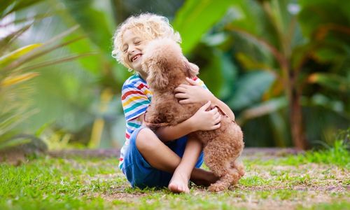 non-toxic-for-children-and-pets