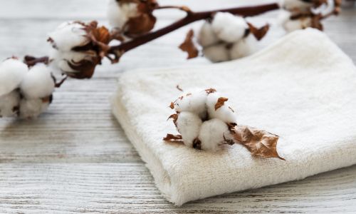 organic-cotton-towels