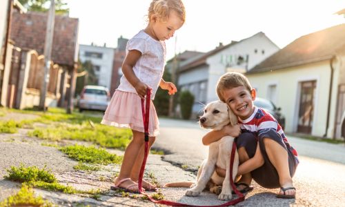 safe-for-children-and-pets