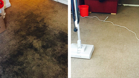 Showcase Carpet Cleaning Gravesend Kent