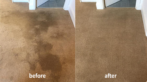 Showcase Carpet Cleaning in Medway