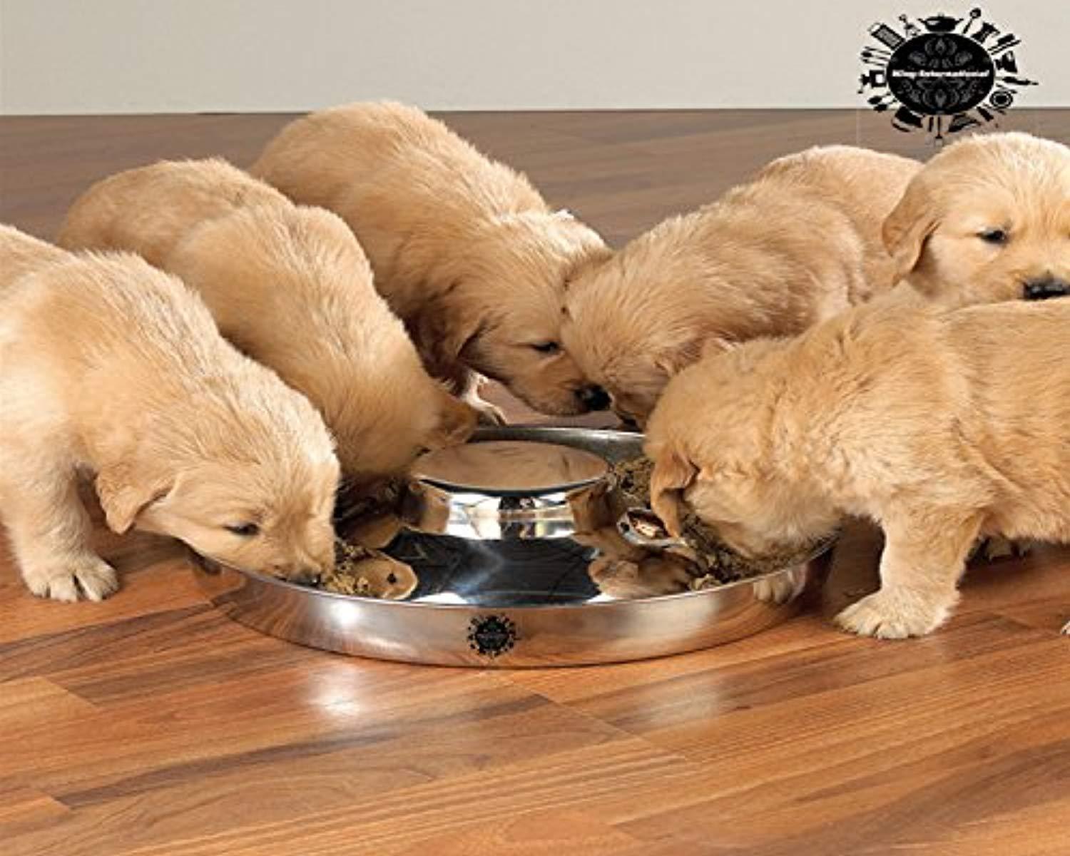 puppy litter bowl